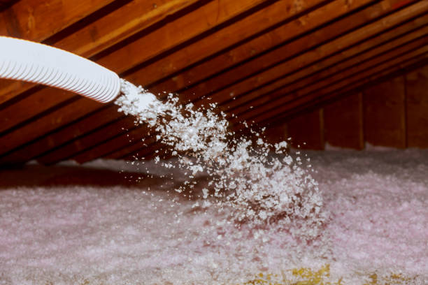 Best Eco-Friendly Insulation in Oil City, PA
