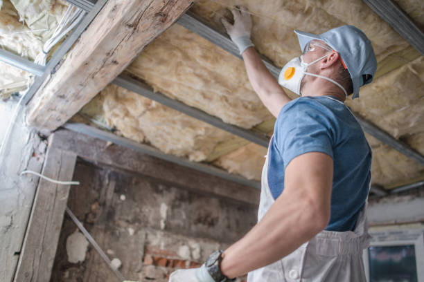 Best DIY Insulation Kits and Guidance in Oil City, PA